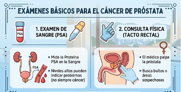 infografia cancer de prostata